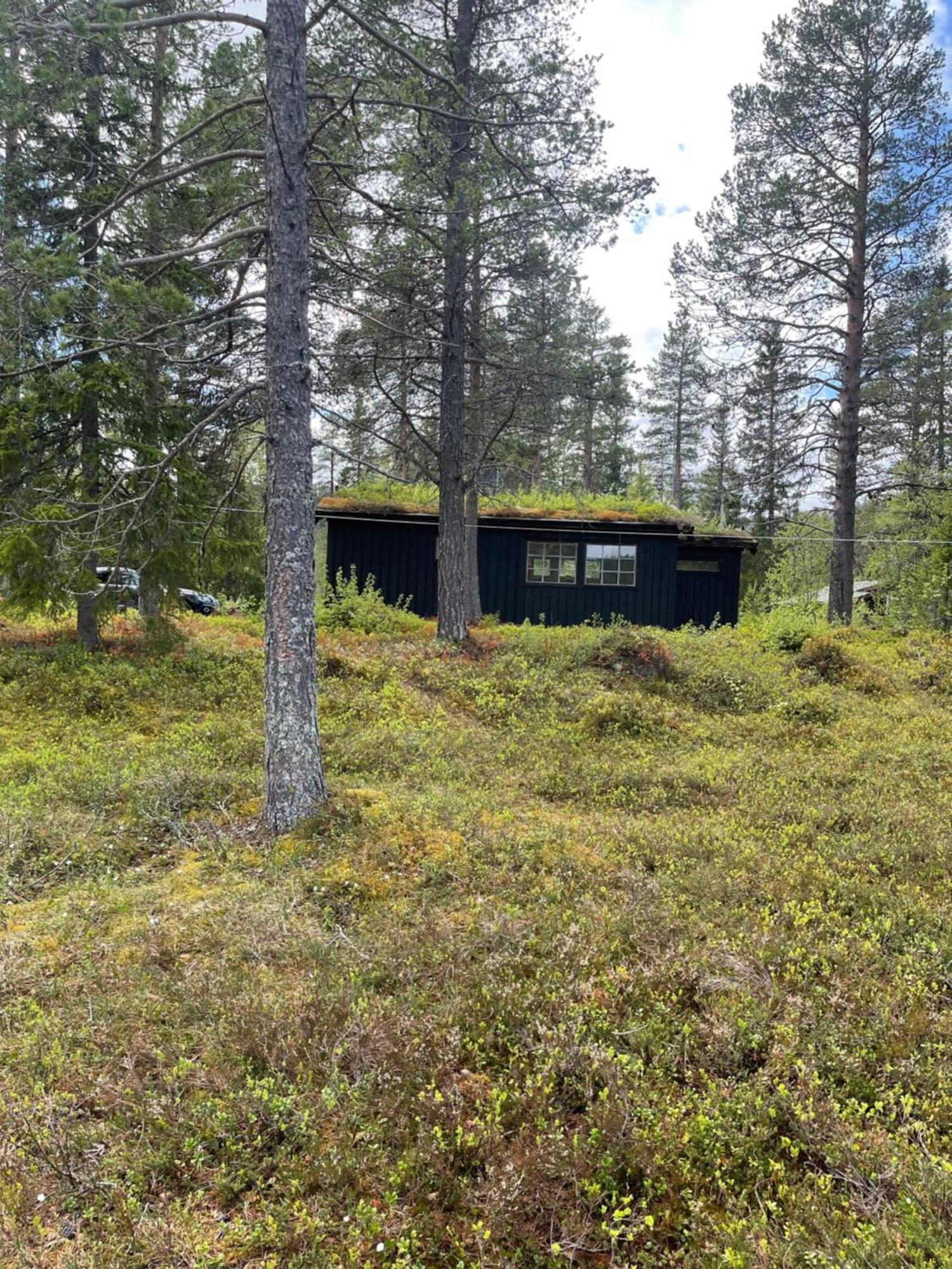 فيلا Hytta Pa Oyfjell المظهر الخارجي الصورة