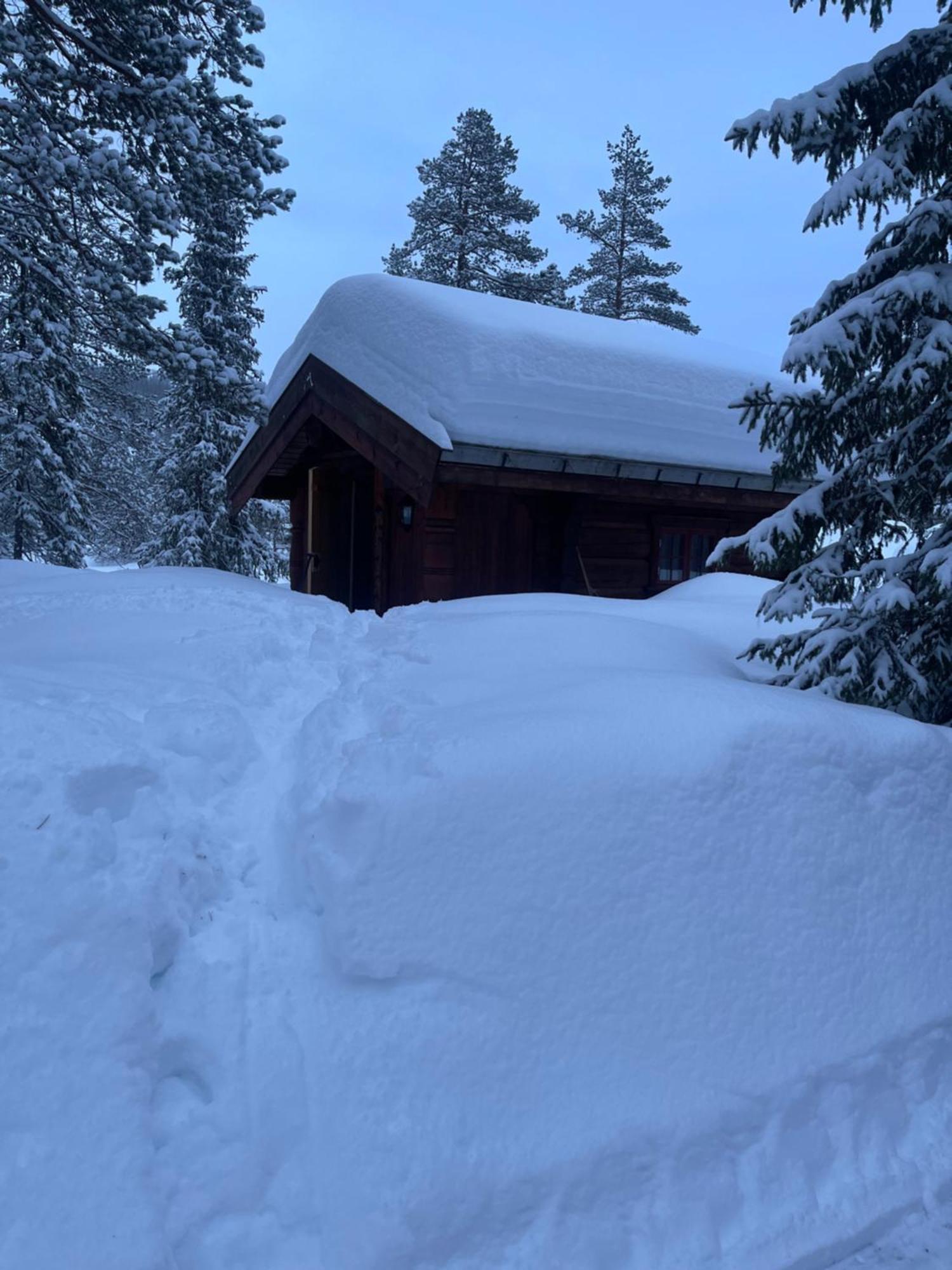 فيلا Hytta Pa Oyfjell المظهر الخارجي الصورة