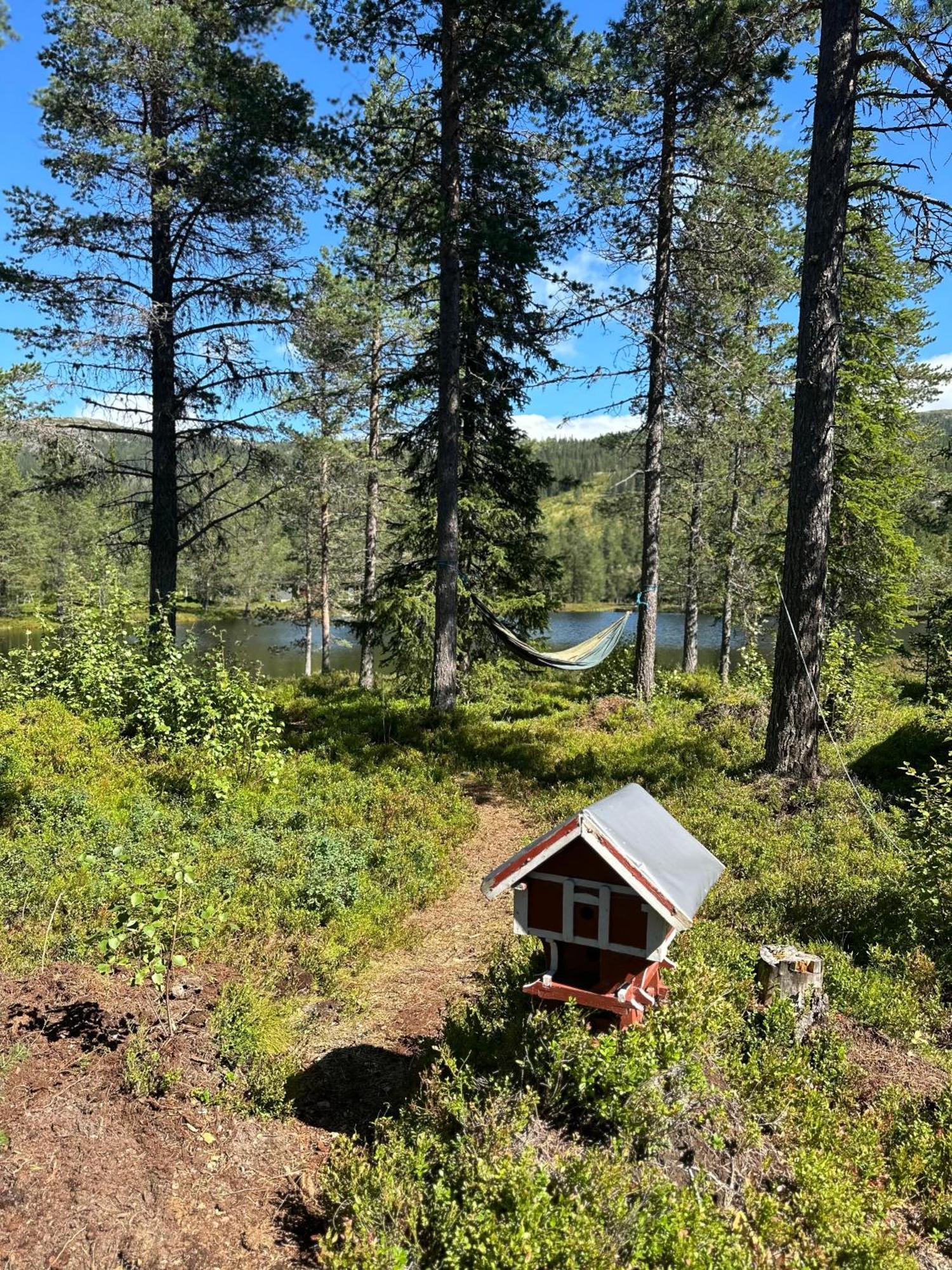 فيلا Hytta Pa Oyfjell المظهر الخارجي الصورة