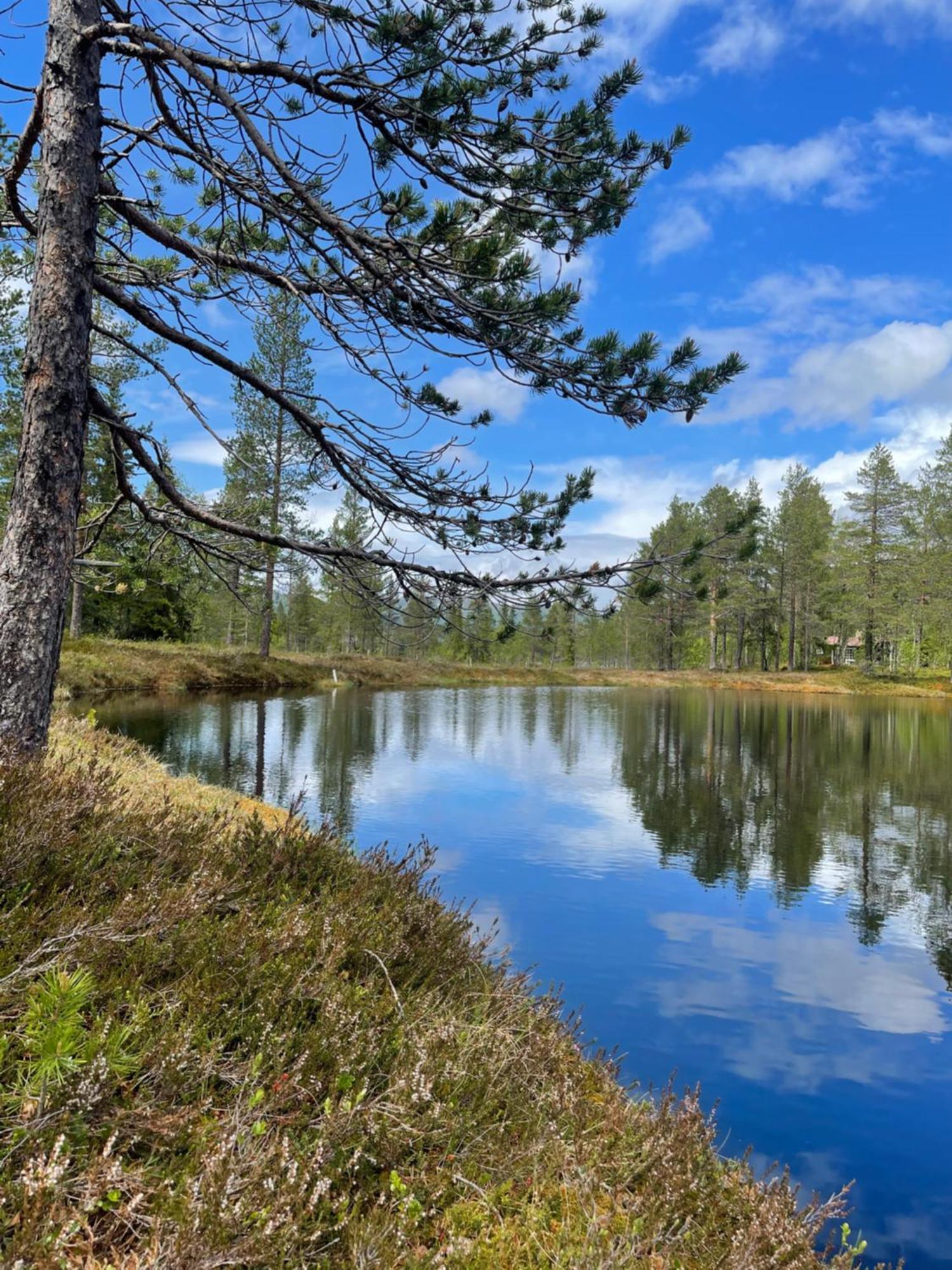 فيلا Hytta Pa Oyfjell المظهر الخارجي الصورة