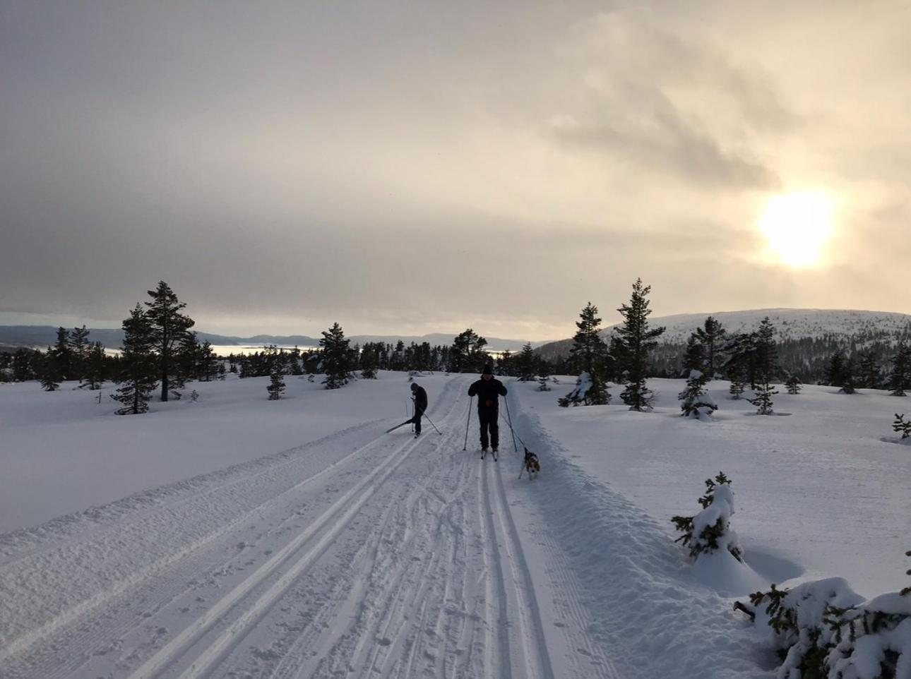 فيلا Hytta Pa Oyfjell المظهر الخارجي الصورة